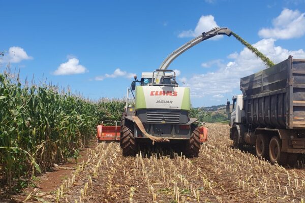 Xanxerê abre edital para credenciamento de empresas de colheita rural