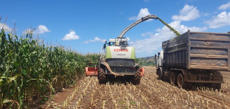 Xanxerê abre edital para credenciamento de empresas de colheita rural