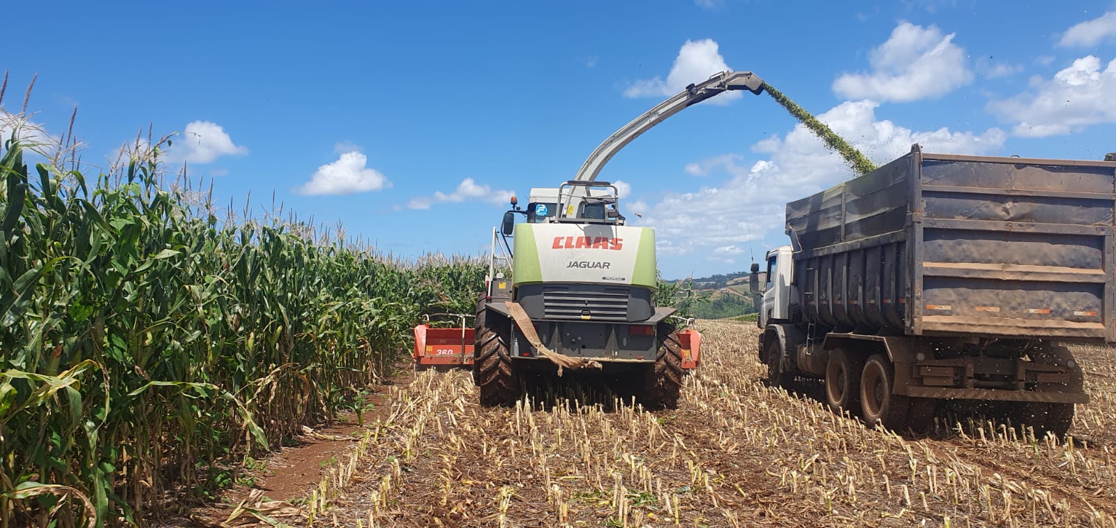 Xanxerê abre edital para credenciamento de empresas de colheita rural