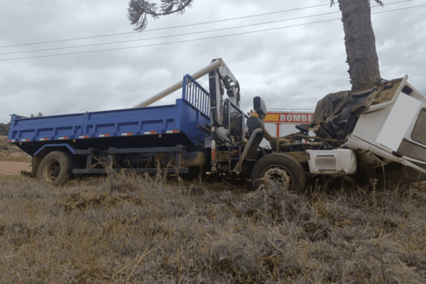 Motorista morre após caminhão colidir com árvore no Oeste de SC