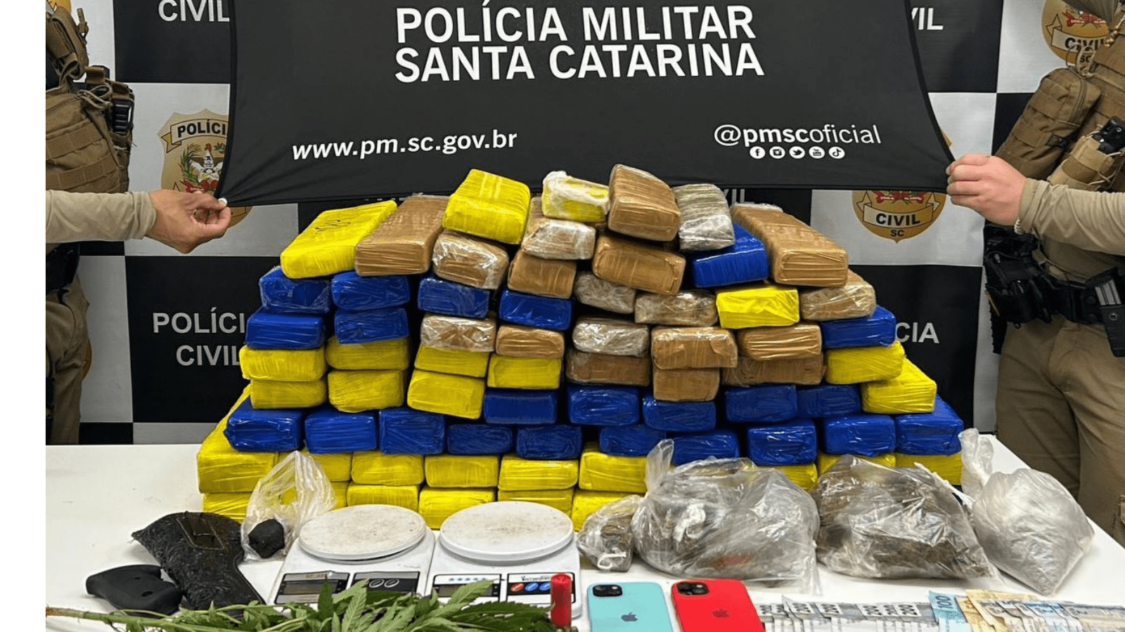 Polícia apreende quase 60 kg de maconha, munições e dinheiro após denúncia de tiros em residência de Xanxerê.
