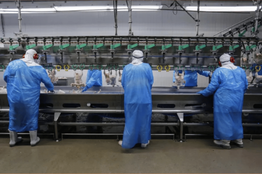 Redução da jornada pode custar R$ 10,8 bilhões às cooperativas de SC 2