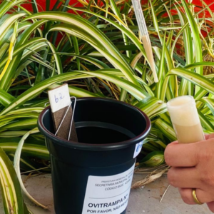 Xanxerê adota novo sistema para monitorar e combater o mosquito Aedes aegypti