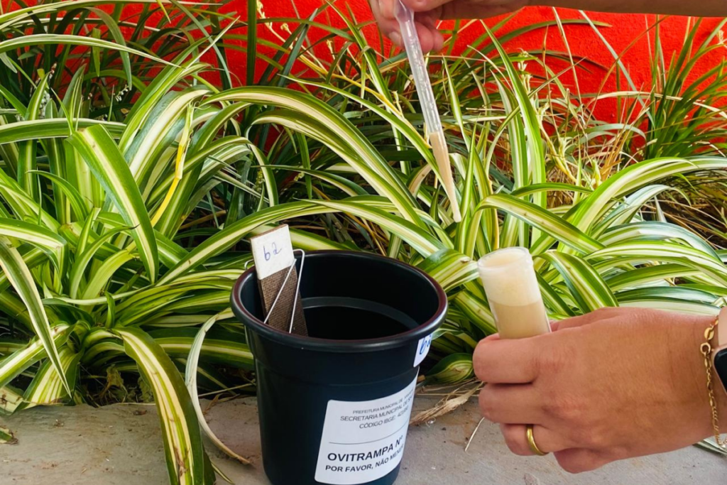 Xanxerê reforça o combate ao aedes aegypti com ovitrampas e amplia ações contra dengue, zika e chikungunya.