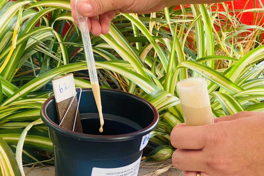 Xanxerê reforça o combate ao aedes aegypti com ovitrampas e amplia ações contra dengue, zika e chikungunya.