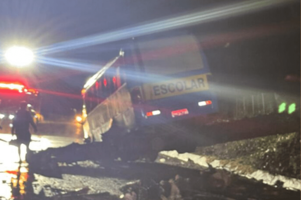 Temporal derrubou araucária sobre a SC-305 e causou colisão com ônibus em Campo Erê.