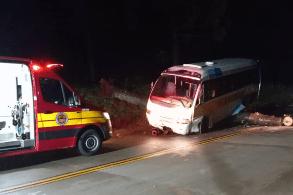Árvore cai na SC-305 e ônibus se envolve em acidente