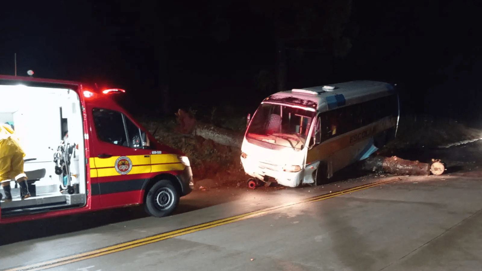 Árvore cai na SC-305 e ônibus se envolve em acidente