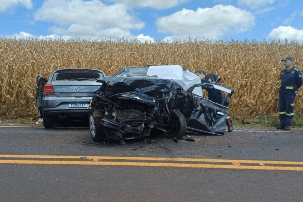 Colisão frontal na BR-281 tirou a vida de profissional conhecido no Oeste catarinense