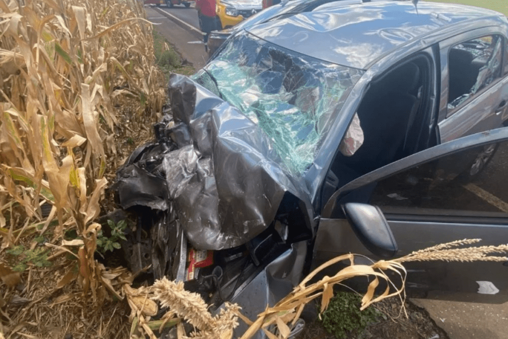 Acidente fatal na BR-281 mata cabeleireiro Vilson Damarat, de Xanxerê após colisão frontal