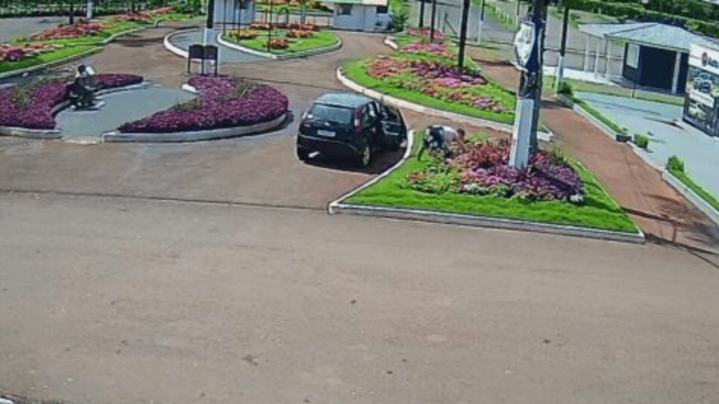 Veículo estacionado com pessoa ao lado, no canteiro de flores de cócoras robando as folhagens no parque de exposições de Xanxerê