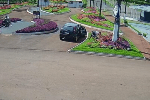 Veículo estacionado com pessoa ao lado, no canteiro de flores de cócoras robando as folhagens no parque de exposições de Xanxerê