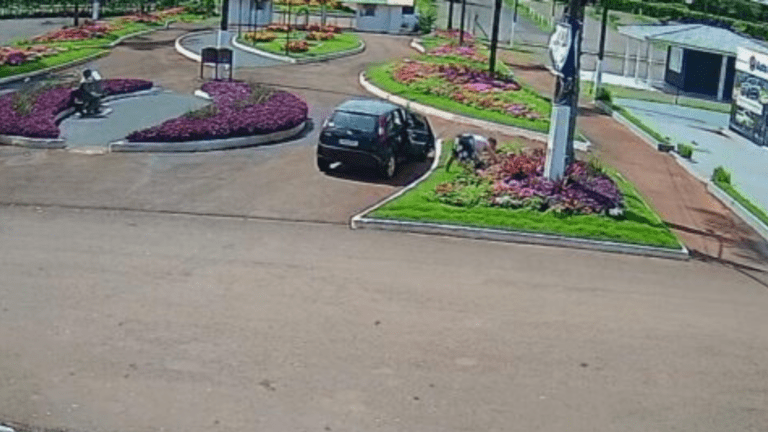 Parque de Exposições de Xanxerê tem flores furtadas em plena luz do dia