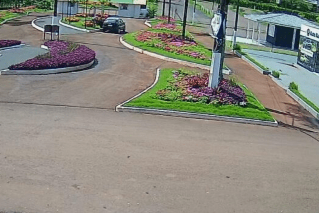 Veículo estacionado com pessoas próximas, no canteiro de flores de cócoras robando as folhagens no parque de exposições de Xanxerê