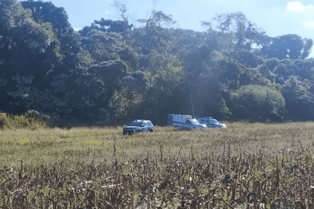 Imagem de 2 veículos da Polícia Científica em área de mata e um veículo da Polícia Civil.