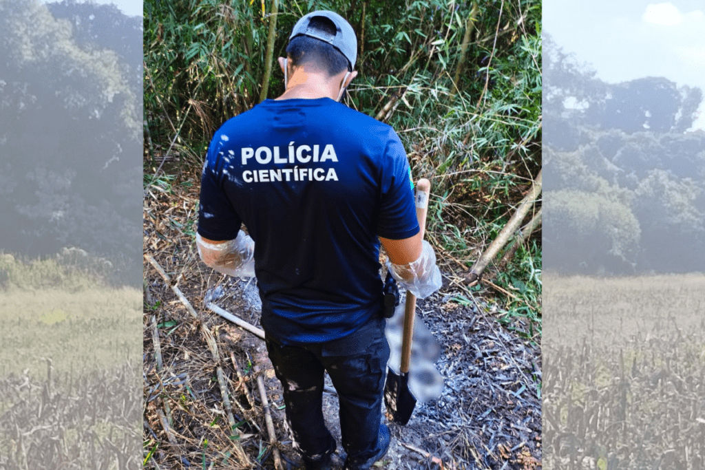 Agente da Polícia Científica de costas na mata