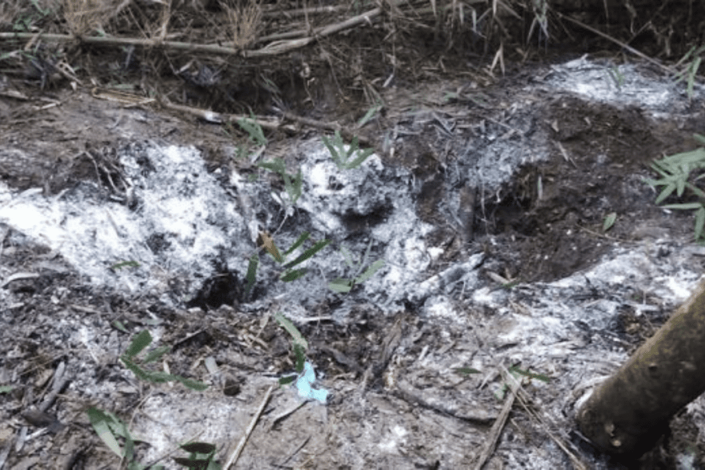 Buraco no chão da mata