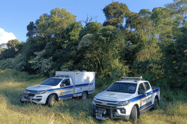 Imagem de 2 veículos da Polícia Científica em área de mata