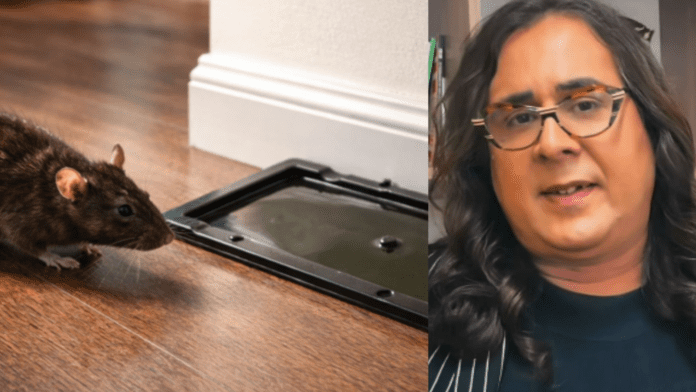 Imagem de um lado um rato e de outro a deputada Duda Salabert do PSOL de MG