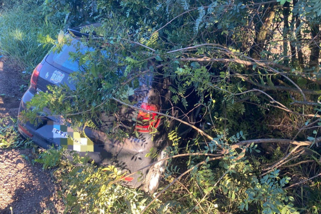 Veículo em meio ás árvores após acidente em Maravilha/SC