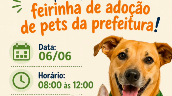 Banner divulgação da Feira de Adoção de Cães e Gatos de Xanxerê