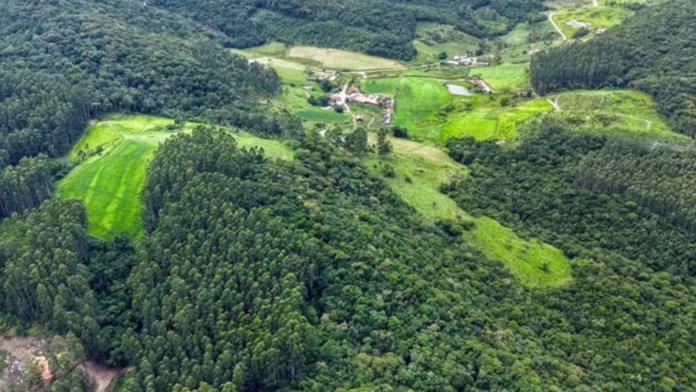 Vista aérea de propriedade rural com área de mata.